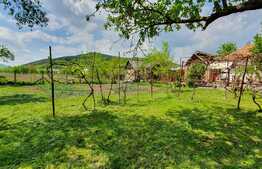 Teren 13000 mp cu casa individuala 80 mp, intrare in Dej