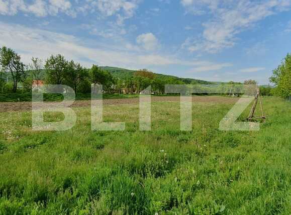 Casa de vânzare 3 camere Exterior Est - 67451CV | BLITZ Cluj-Napoca | Poza3