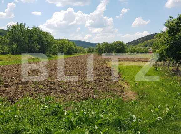 Casa de vânzare 3 camere Exterior Est - 67451CV | BLITZ Cluj-Napoca | Poza2