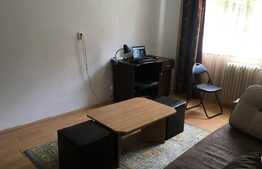 Garsoniera spatioasa, 22 mp, priveliste deosebita, zona Stadion CFR