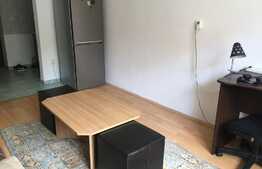 Garsoniera spatioasa, 22 mp, priveliste deosebita, zona Stadion CFR