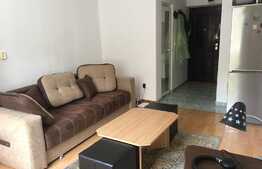 Garsoniera spatioasa, 22 mp, priveliste deosebita, zona Stadion CFR