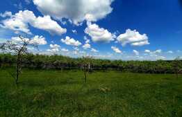 Teren intravilan 1040mp ,cu PUZ aprobat in zona Wonderland