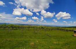 Teren intravilan 1040mp ,cu PUZ aprobat in zona Wonderland