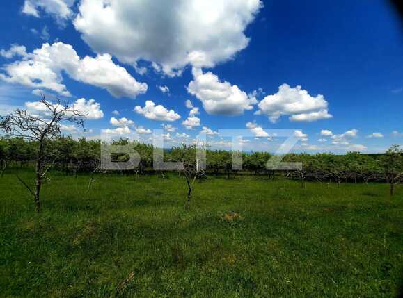 Teren de vânzare Feleacu - 67480TV | BLITZ Cluj-Napoca | Poza7