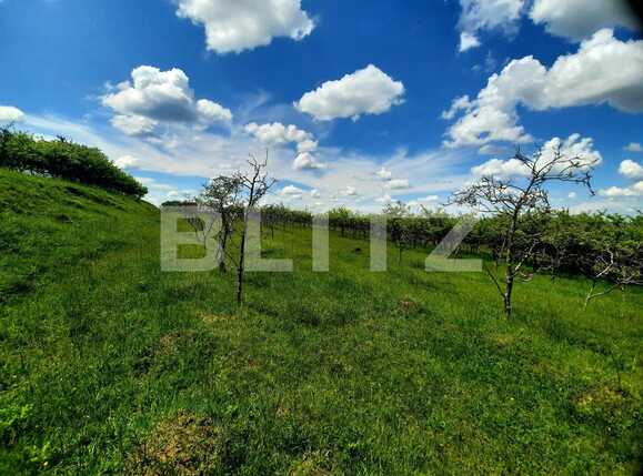Teren de vânzare Feleacu - 67480TV | BLITZ Cluj-Napoca | Poza9
