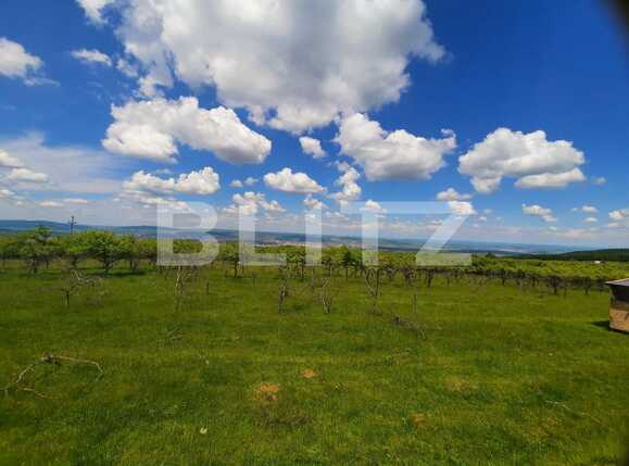 Teren de vânzare Feleacu - 67480TV | BLITZ Cluj-Napoca | Poza6