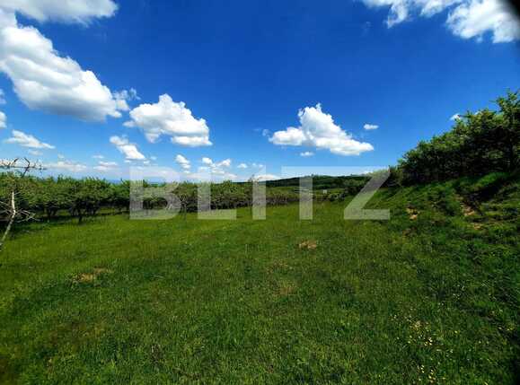 Teren de vânzare Feleacu - 67480TV | BLITZ Cluj-Napoca | Poza8