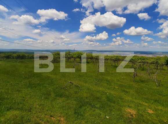 Teren de vânzare Feleacu - 67480TV | BLITZ Cluj-Napoca | Poza5