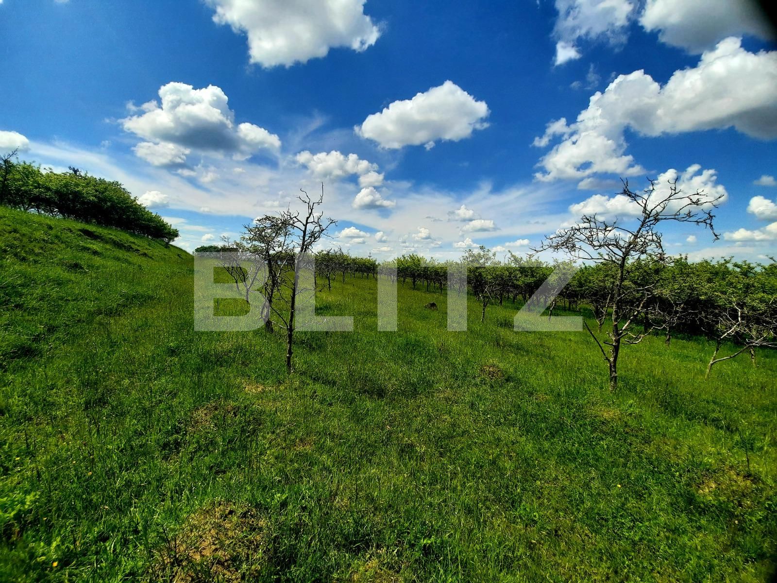 Teren de vânzare Feleacu - 67480TV | BLITZ Cluj-Napoca | Poza9