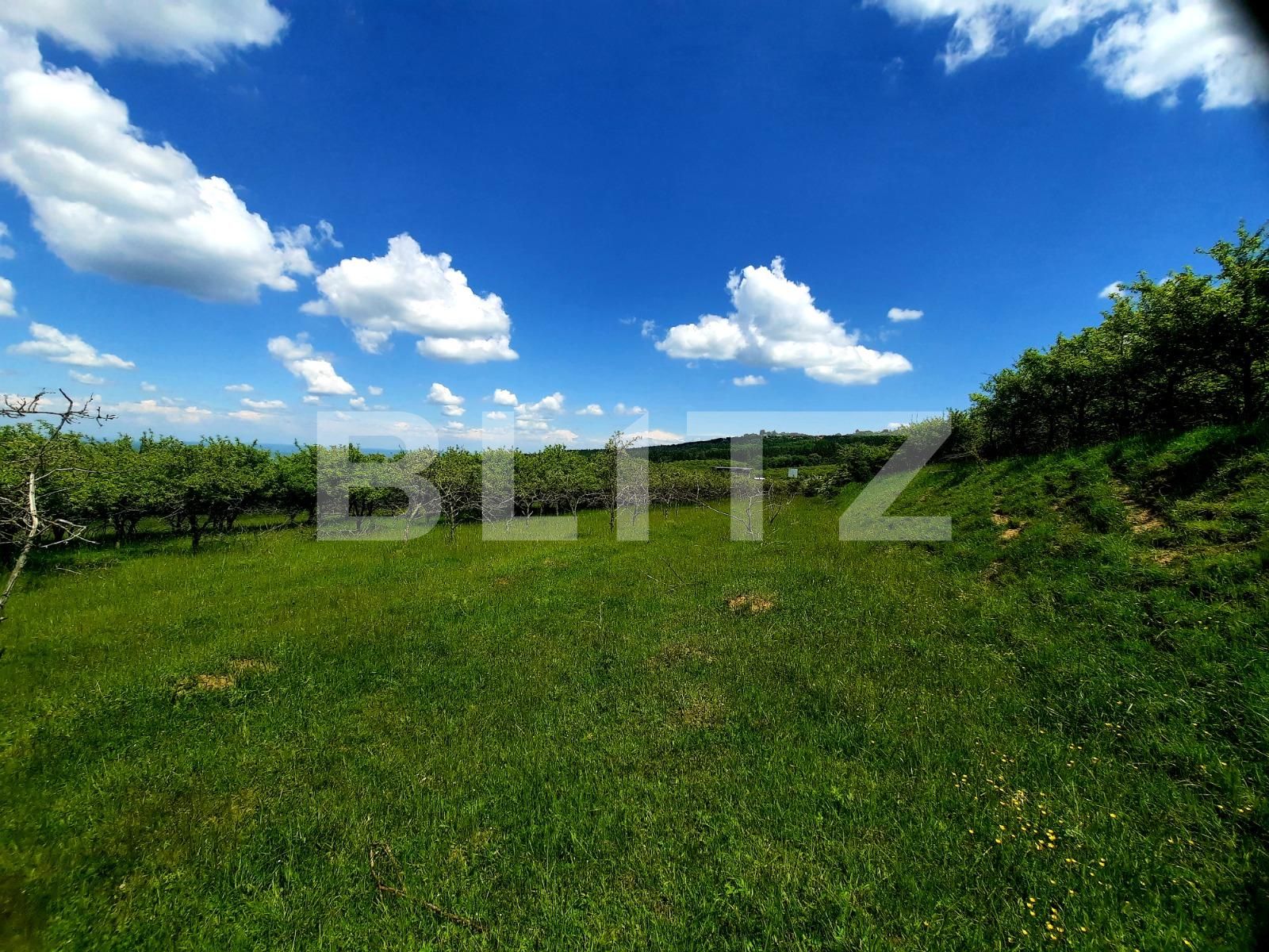 Teren de vânzare Feleacu - 67480TV | BLITZ Cluj-Napoca | Poza8