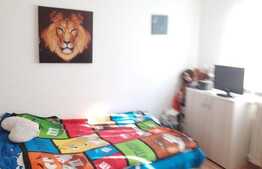 Apartament de 2 camere, 27 mp, partial mobilat, zona Florilor