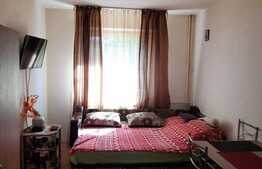 Apartament de 2 camere, 27 mp, partial mobilat, zona Florilor
