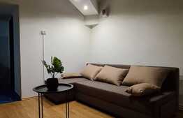 Garsoniera semidecomandata de 25 mp, parcare, zona Kaufland!