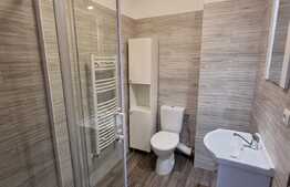 Apartament lux, 1 camera, zona strazii Sesul de sus!