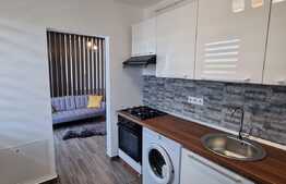 Apartament lux, 1 camera, zona strazii Sesul de sus!