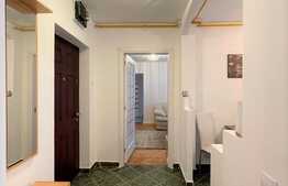 3 camere, semidecomandat, renovat recent, balcon,  zona strazii Gr.Alexandrescu.Disponibil cu 1 Februarie