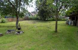  OPORTUNITATE Casa de vacanta/ locuit in Belis 800MP TEREN