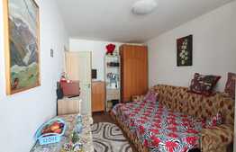 Woow! Garsoniera 24 mp, balcon, zona Expo Transilvania