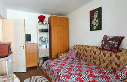 Woow! Garsoniera 24 mp, balcon, zona Expo Transilvania