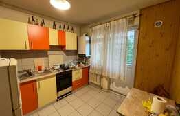 Apartament de 2 camere, decomandat, 46mp, zona Profi