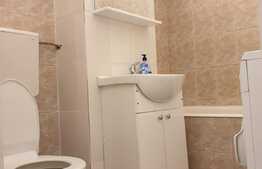 Apartament 1 camera, 30 mp, zona strazii Grigore Alexandrescu