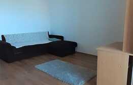 Apartament 1 camera, 30 mp, zona strazii Grigore Alexandrescu