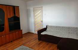 Apartament 1 camera, 30 mp, zona strazii Grigore Alexandrescu