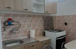 Apartament 1 camera, 30 mp, zona strazii Grigore Alexandrescu