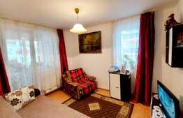 Apartament decomandat, 2 camere, zona strazii Teilor!