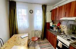 Apartament decomandat, 2 camere, zona strazii Teilor!
