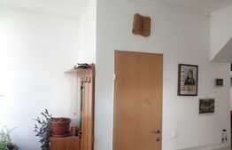 Casa Centru 155 mp utili, teren 280 mp,Ideal ptr.Birori/Firma/Cabinet