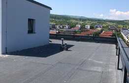 Apartament 2 camere, 2 parcari, prima inchiriere, terasa, zona strazii Borhanciului