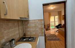 De vanzare garsoniera, 22 mp utili plus terasa, zona FSEGA!