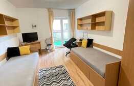 De vanzare garsoniera, 22 mp utili plus terasa, zona FSEGA!