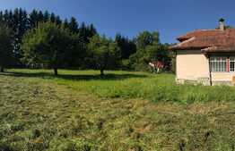 Teren cu casa boiereasca, 4000 mp, aproape de castelul Bran!