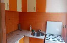 Apartament de 1 camera, 30 mp, zona strazii Dambovitei