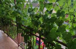 Apartament de 1 camera, 40 mp, la 5 minute de UMF