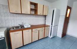 Apartament de 1 camera, 40 mp, la 5 minute de UMF