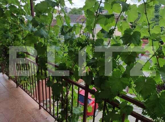 Garsonieră de închiriat Zorilor - 67618AI | BLITZ Cluj-Napoca | Poza6