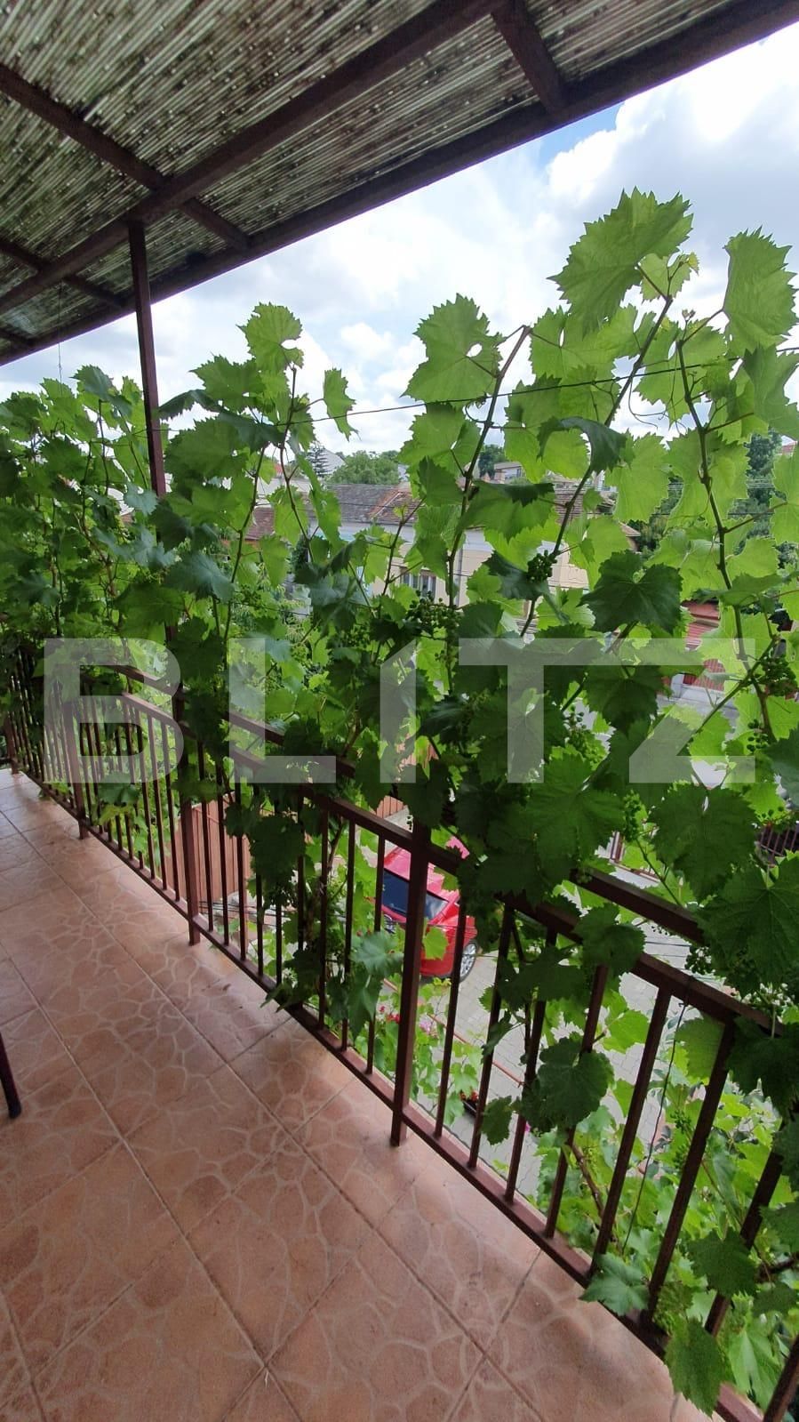 Garsonieră de închiriat Zorilor - 67618AI | BLITZ Cluj-Napoca | Poza6