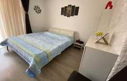 Apartament 2 camere decomandate, modern, 57 mp, zona Porii!