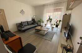 Apartament 2 camere decomandate, modern, 57 mp, zona Porii!