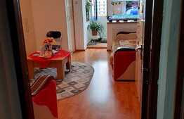 Garsoniera de 31 mp, partial mobilata, zona Noua