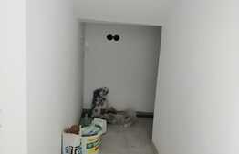 Apartament de 2 camere, 54 mp, in zona strazii Luncii