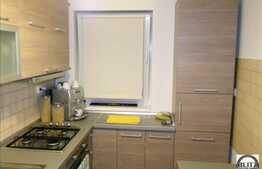 Vanzare 1 camera, 42 mp, finisaje calitative