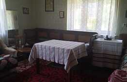 Casa traditionala 70 mp utili, 1500 mp teren! Exterior Nord!