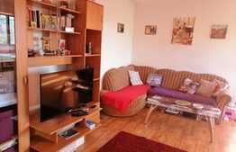 Locuinta personala sau investitie?!