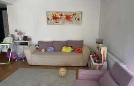 Apartament de 3 camere, etaj intermediar, complet mobilat si utilat, zona Stejarului!