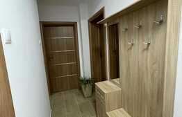 Apartament de 2 camere, modern, prima inchiriere, proaspat renovat/remobilat, 47mp, zona Titulescu